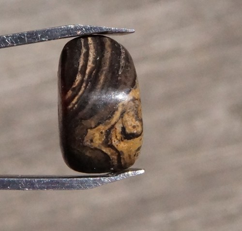 Stromatolit B8781 — foto 1