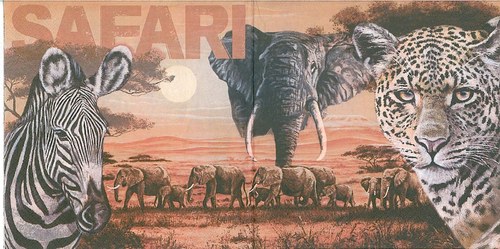 Ubrousek Afrika