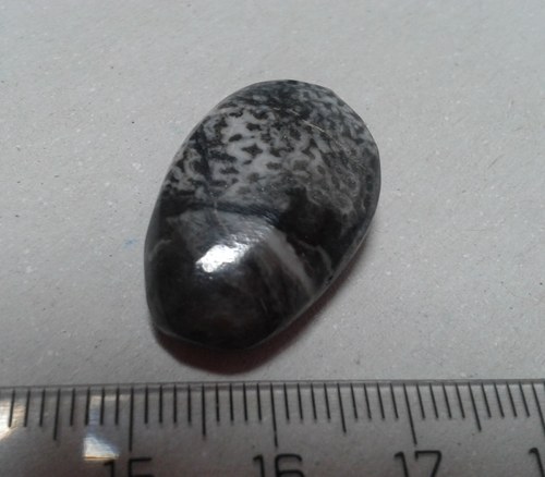 Černý korál - L-109 — foto 1