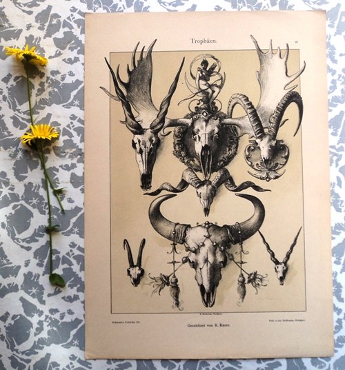 Litografie Trofeje 1890 — foto 1