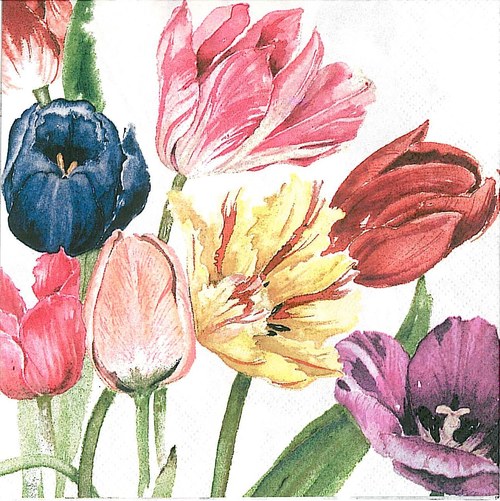 Ubrousek - tulipány