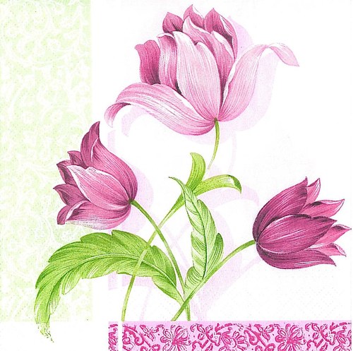 Ubrousek - tulipány