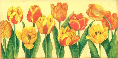 Ubrousek - tulipány