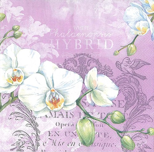 Ubrousek - orchidej — foto 1