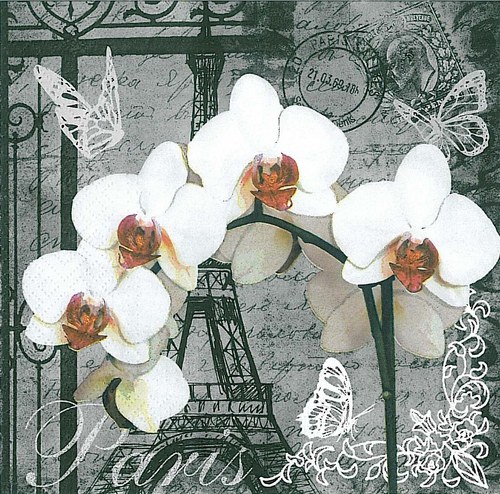 Ubrousek - orchidej — foto 1