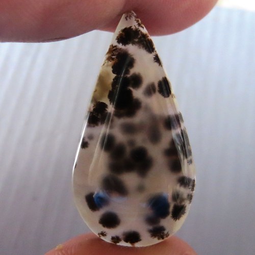 Dendritický chalcedon Brazílie č.1 — foto 1
