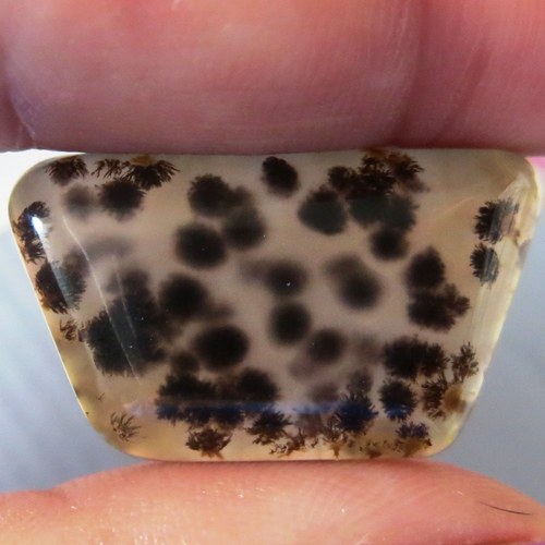 Dendritický chalcedon Brazílie č.2 — foto 1