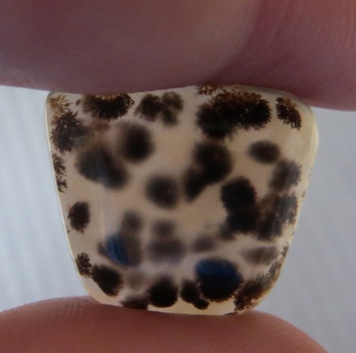 Dendritický chalcedon Brazílie č.3 — foto 1