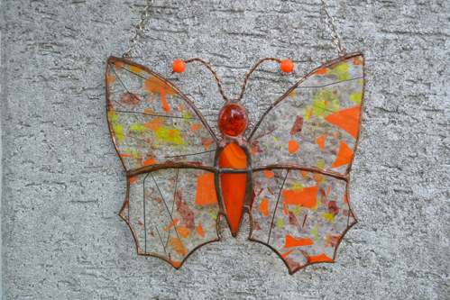 Motýl elegán