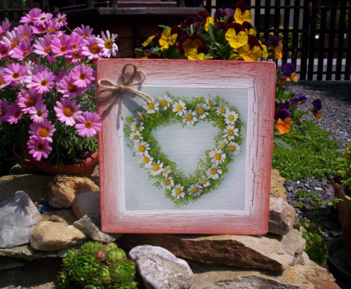 Obrázek - Srdíčko z heřmánku