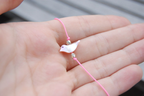 Little Bird (7) — foto 1