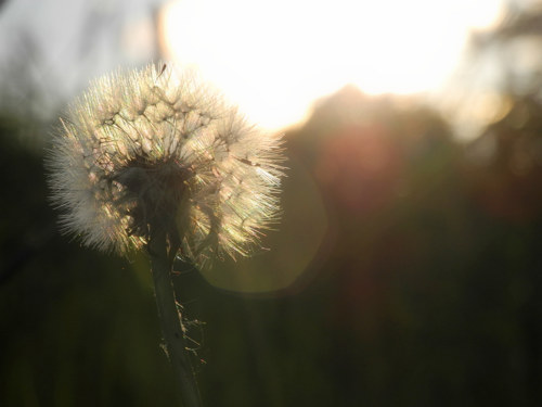 Nauč se cítit všude dobře ... — foto 1