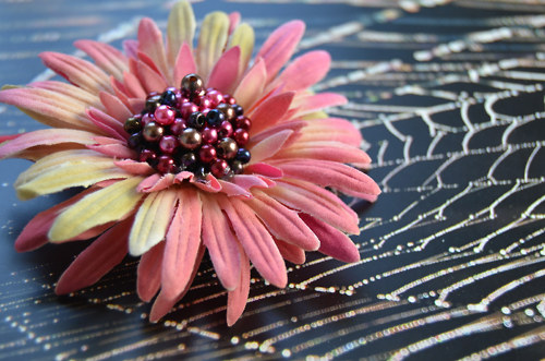 Gerbera z dávné doby - brož + pineta — foto 1