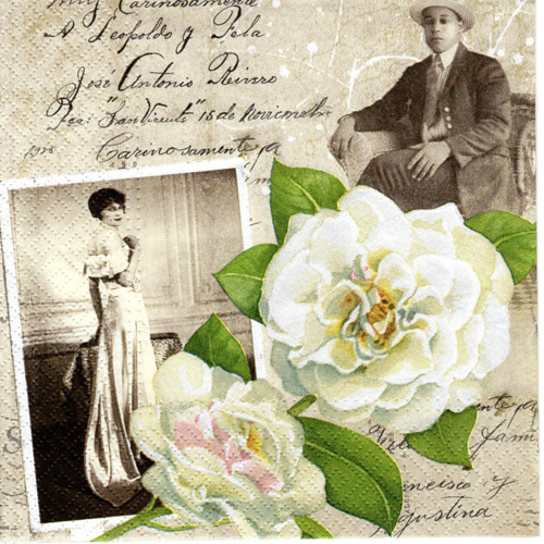 Ubrousek na decoupage, Mr and Mrs Martinez , 1ks