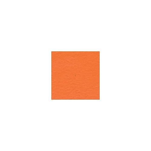 Oranžová - Intense Orange — foto 1
