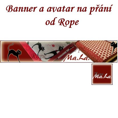 Banner a avatar na přání — foto 1