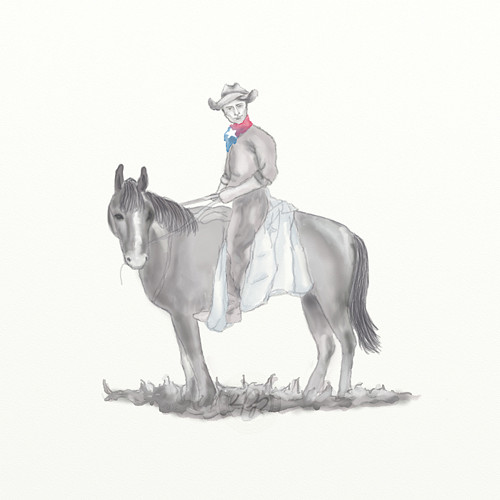 Pozdrav z Texasu - Reprodukce