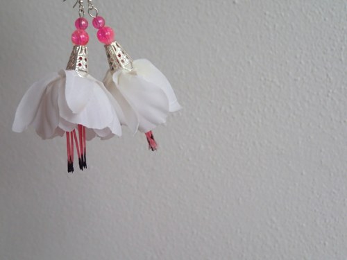 Fuchsia magellanica — foto 1