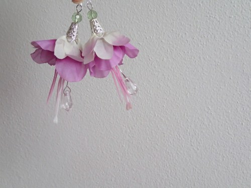 Fuchsia floro — foto 1