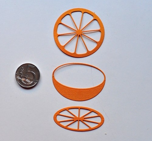 Citrus celý - výsek