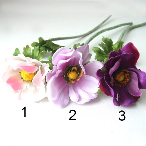 Sasanka - fialová č.3 — foto 1