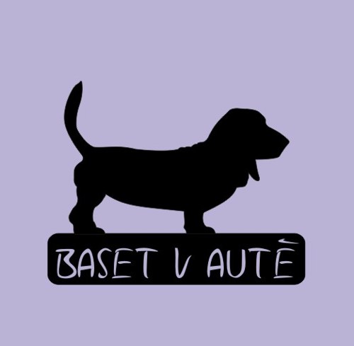 Samolepka Baset v autě - jméno na přání zdarma
