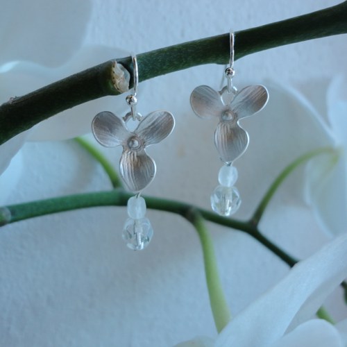 Ledovková orchidej — foto 1