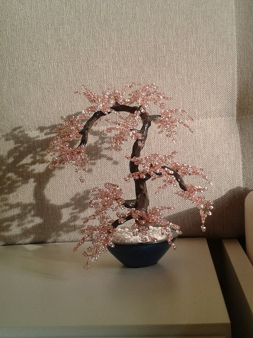 Rosa sakura - slevněno z 600,- — foto 1