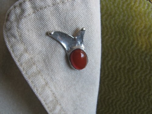 Tulipán