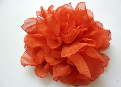 Oranžová pivoňka — foto 1