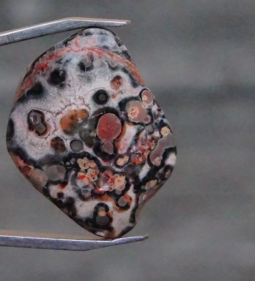 Jaspis leopardí D274 — foto 1