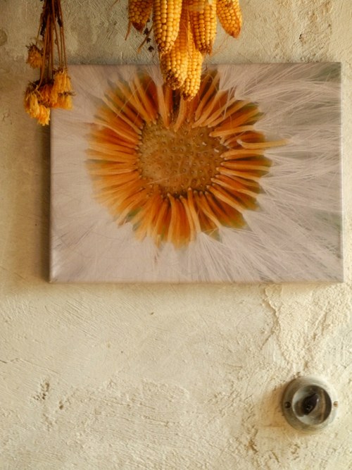 Letní louka, mandala přírodní, plátno 30 x 40cm