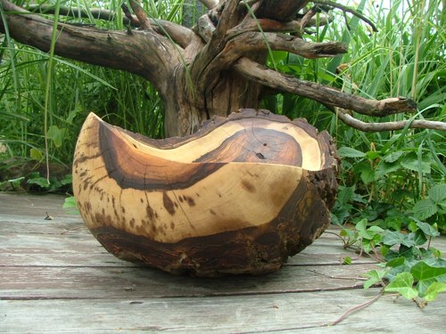 Masivní ořechová — foto 1