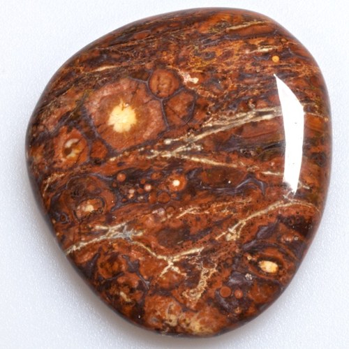 Jaspis leopard — foto 1