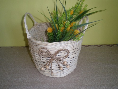 Ušáček - Vietnámek — foto 1