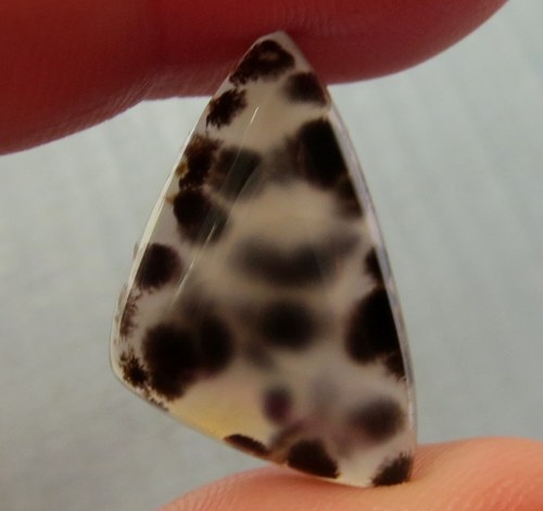 R Dendritický chalcedon Brazílie č.02 — foto 1