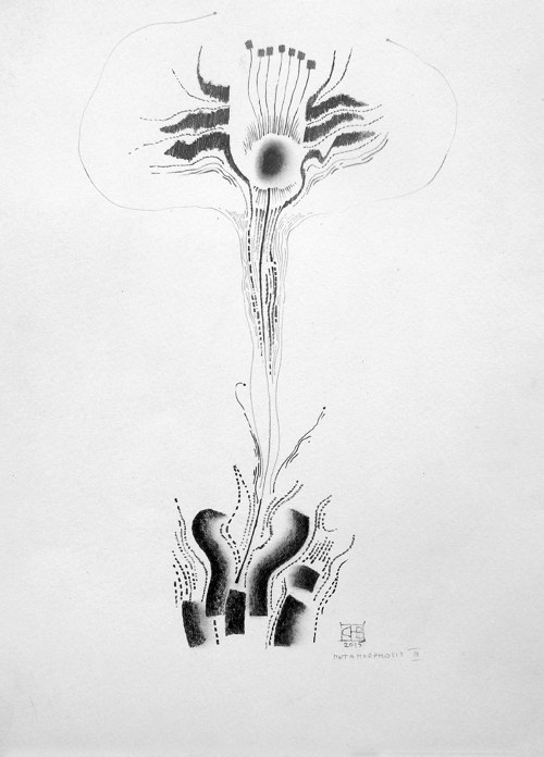 Metamorphosis III — foto 1
