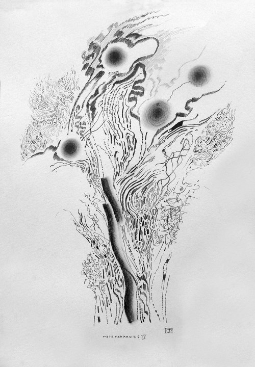 Metamorphosis IV — foto 1
