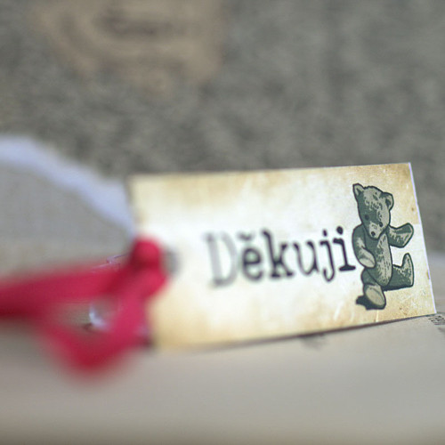Děkuji-Medvídek — foto 1