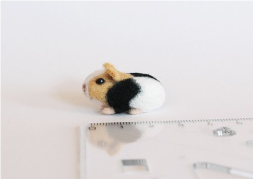 Mini morčátko — foto 1