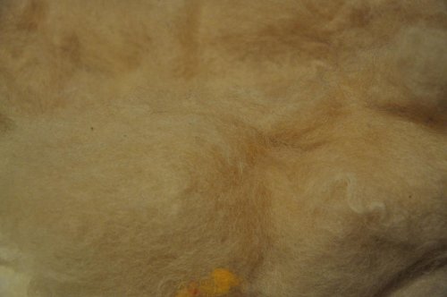 Rouno béžvé — foto 1