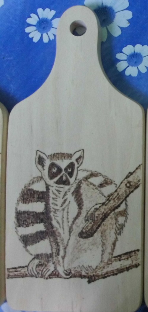 Prkénko LEMUR — foto 1