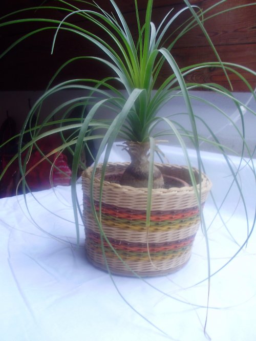 Obal na květináč — foto 1