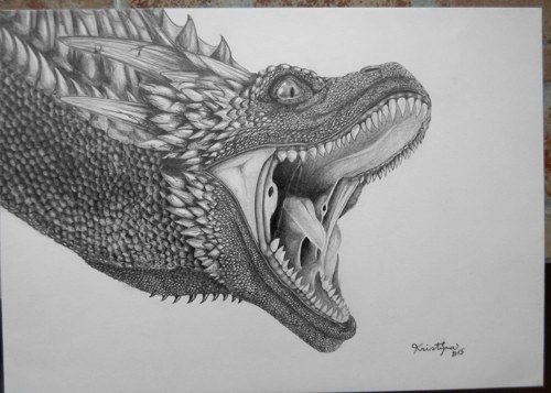 Drogon — foto 1