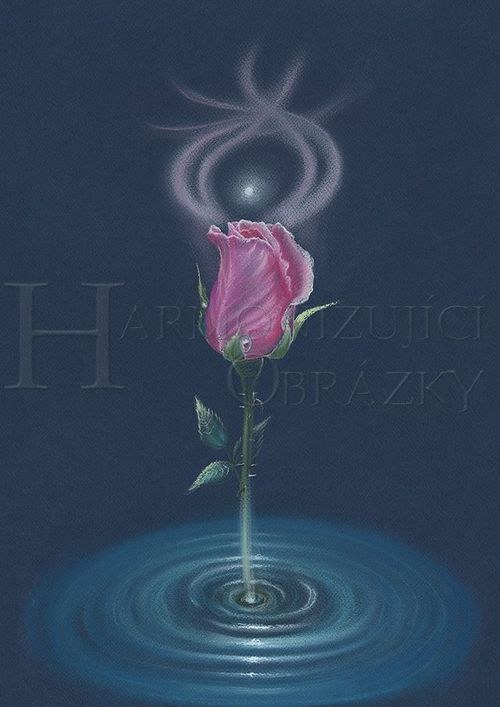 Zrození Růže - přáníčko