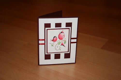 Ptačí duet ! sleva ! — foto 1