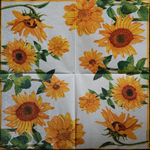Helianthus cream A 412 — foto 1
