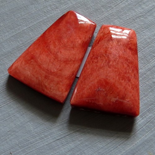 Spondylus - kabošon, pár č.2 — foto 1