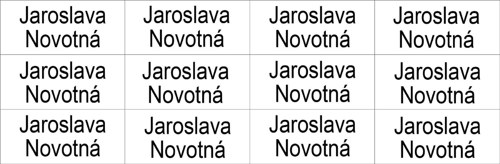 Nažehlovací jmenovky se jménem na přání 12ks