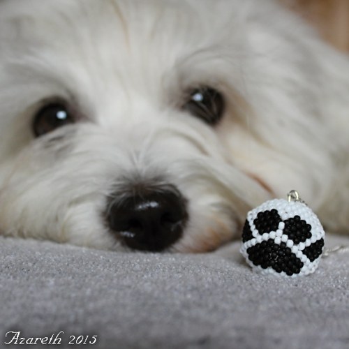 Náhrdelník Kulička Tlapička — foto 1